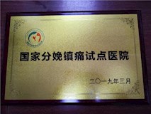 2019年国家分娩镇痛试点医院