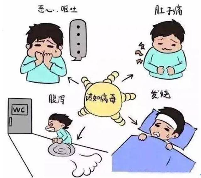 e51278f55f0c4aa59613ff9e624aa14b.png
