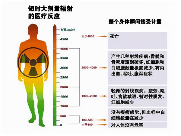 3224bf68c2c34a44ba58e94f4df9e7d5.png
