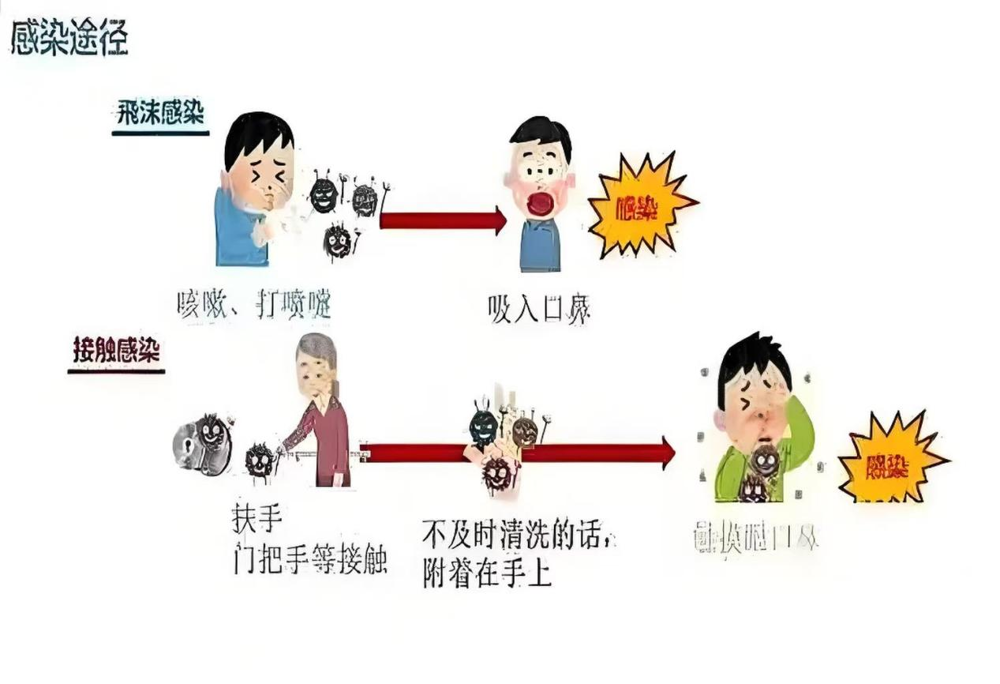 图片2