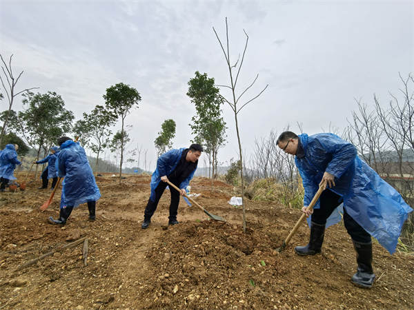 微信图片_20250317092157
