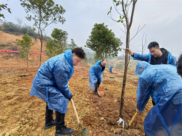 微信图片_20250317092318