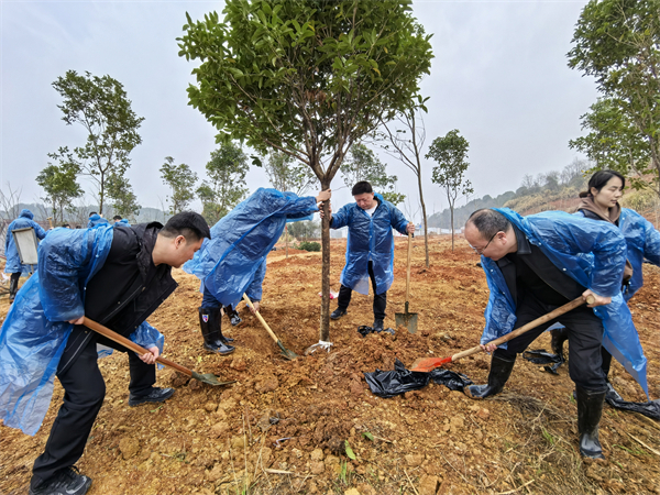 微信图片_20250317092701