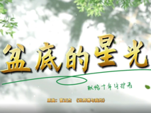 专题视频┃盆底的星光——献给十年守护者