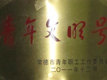 2011年常德市青年职工工作委员会授牌