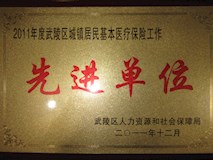 2011年武陵区人力资源和社会保障局授牌