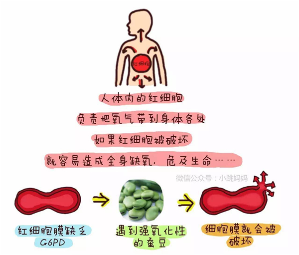微信图片_20170609152027.jpg 微信图片_20170609152027.jpg