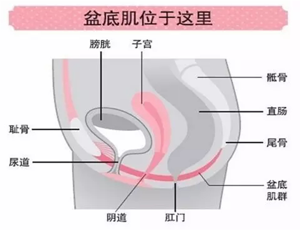 图一3.jpg 图一3.jpg