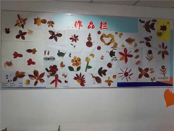 图片5.jpg 图片5.jpg