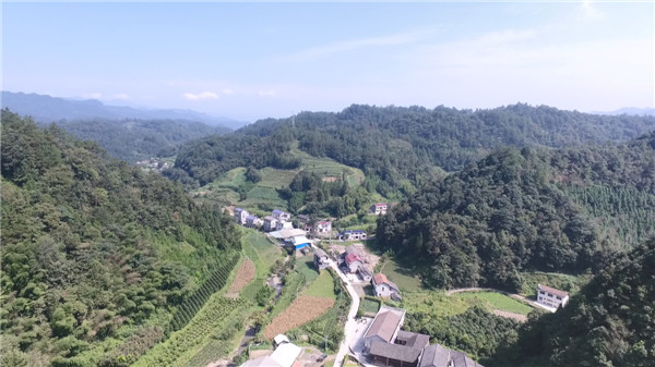 DJI_0014.MOV_snapshot_00.01_[2018.08.27_10.26.18].jpg