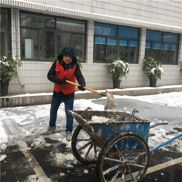 陈彬彬拍摄 (5).jpg